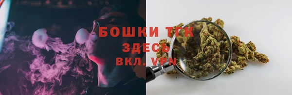 PSILOCYBIN Богородицк